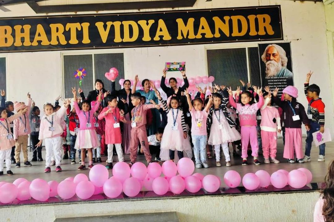School Gallery